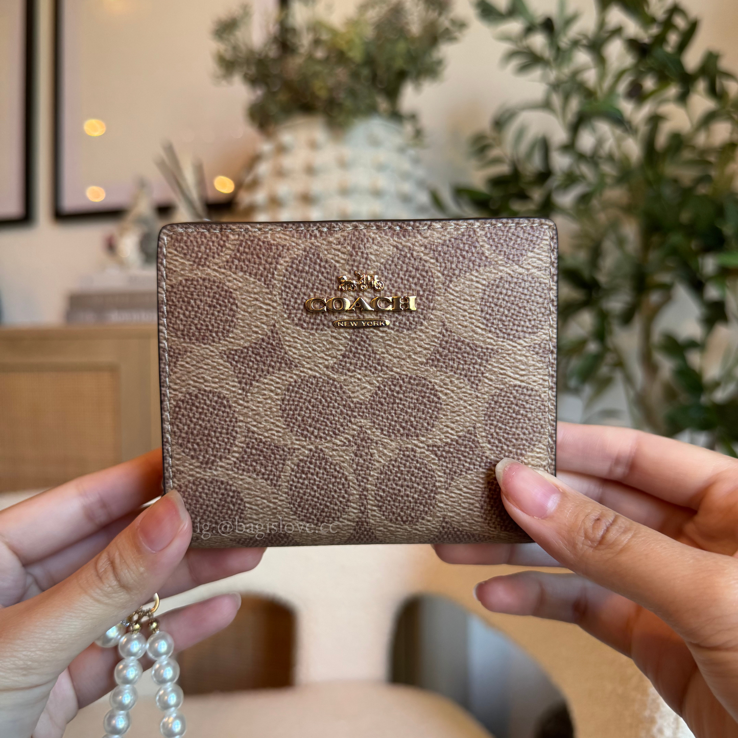 Snap Wallet In Signature Canvas