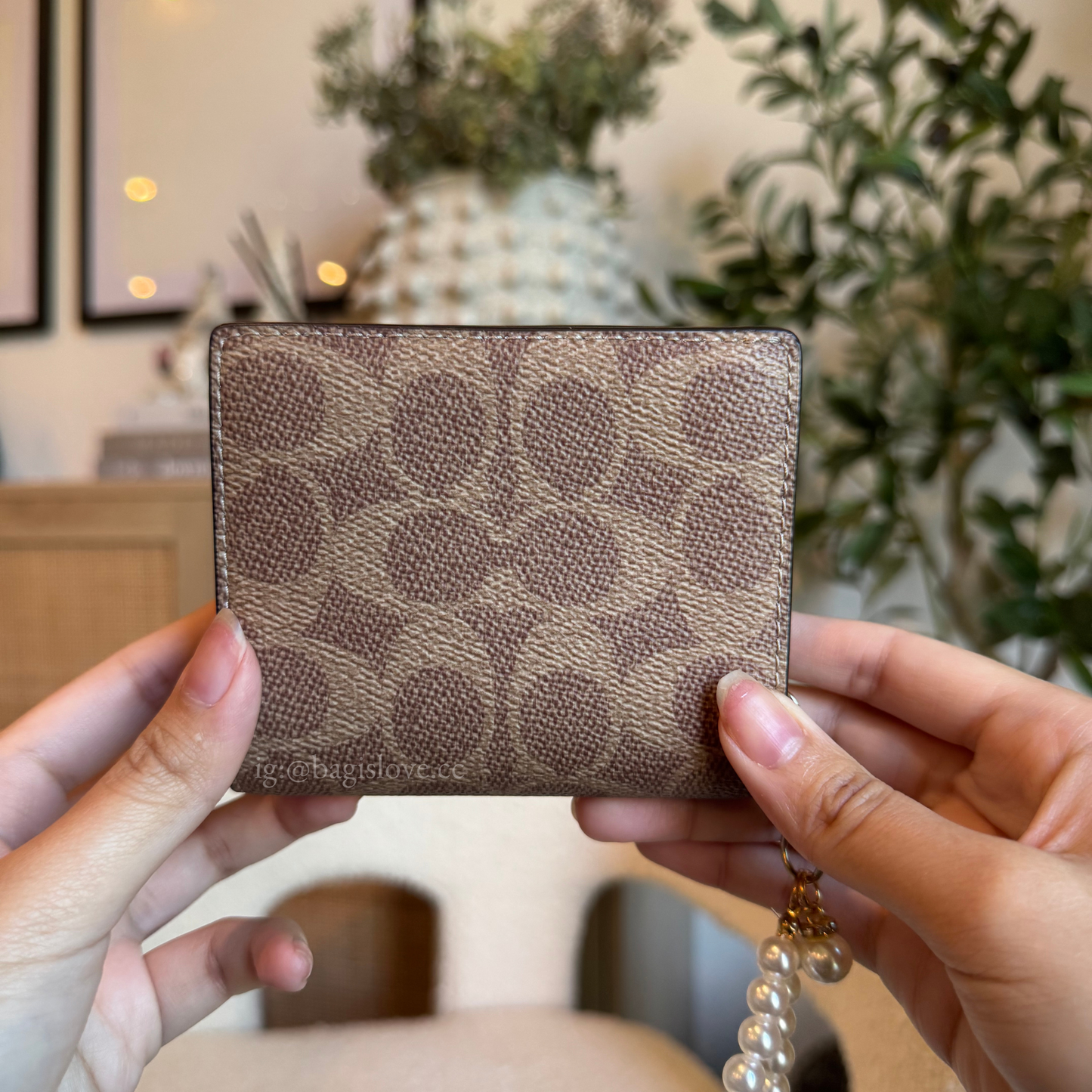 Snap Wallet In Signature Canvas