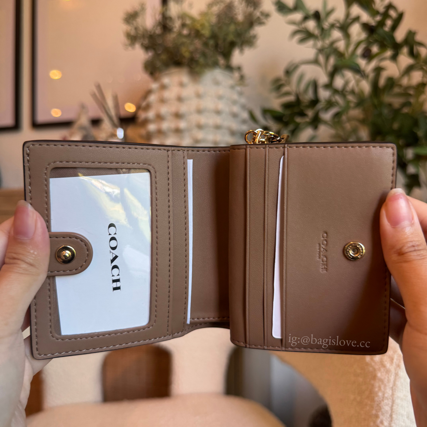 Snap Wallet In Signature Canvas