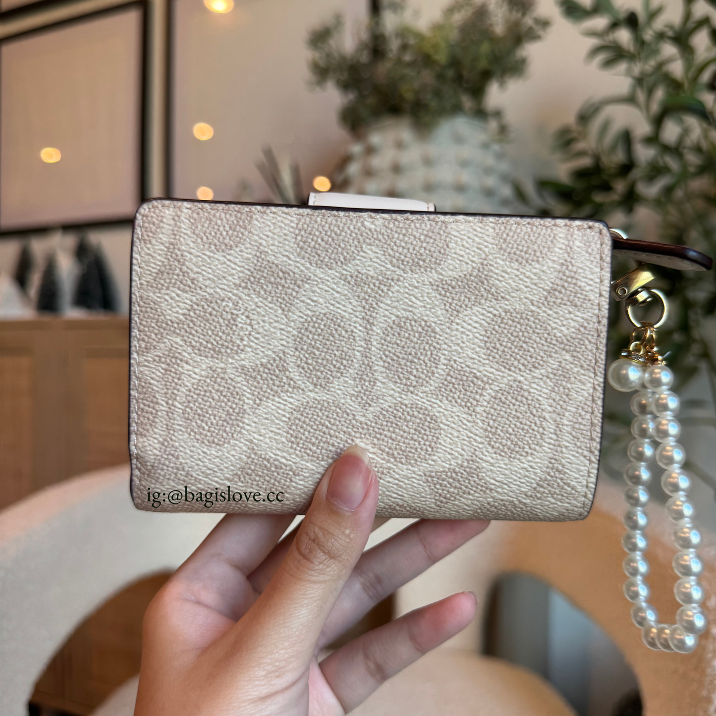 Medium Corner Zip Wallet In Sand-Chalk Signature Canvas