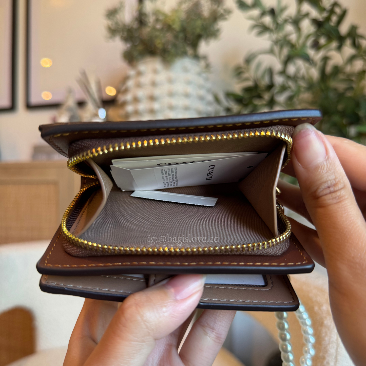 Snap Wallet In Signature Canvas