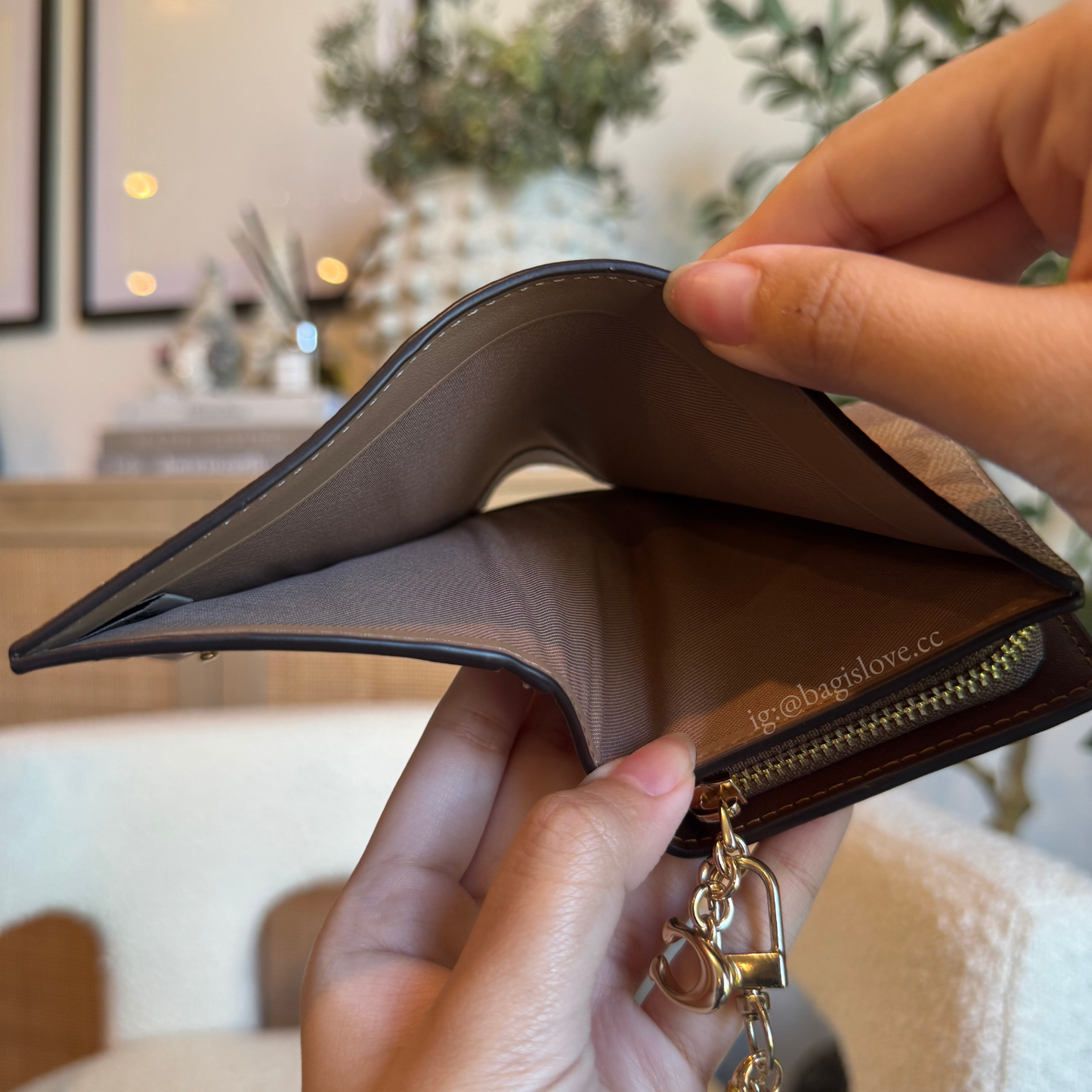 Snap Wallet In Signature Canvas
