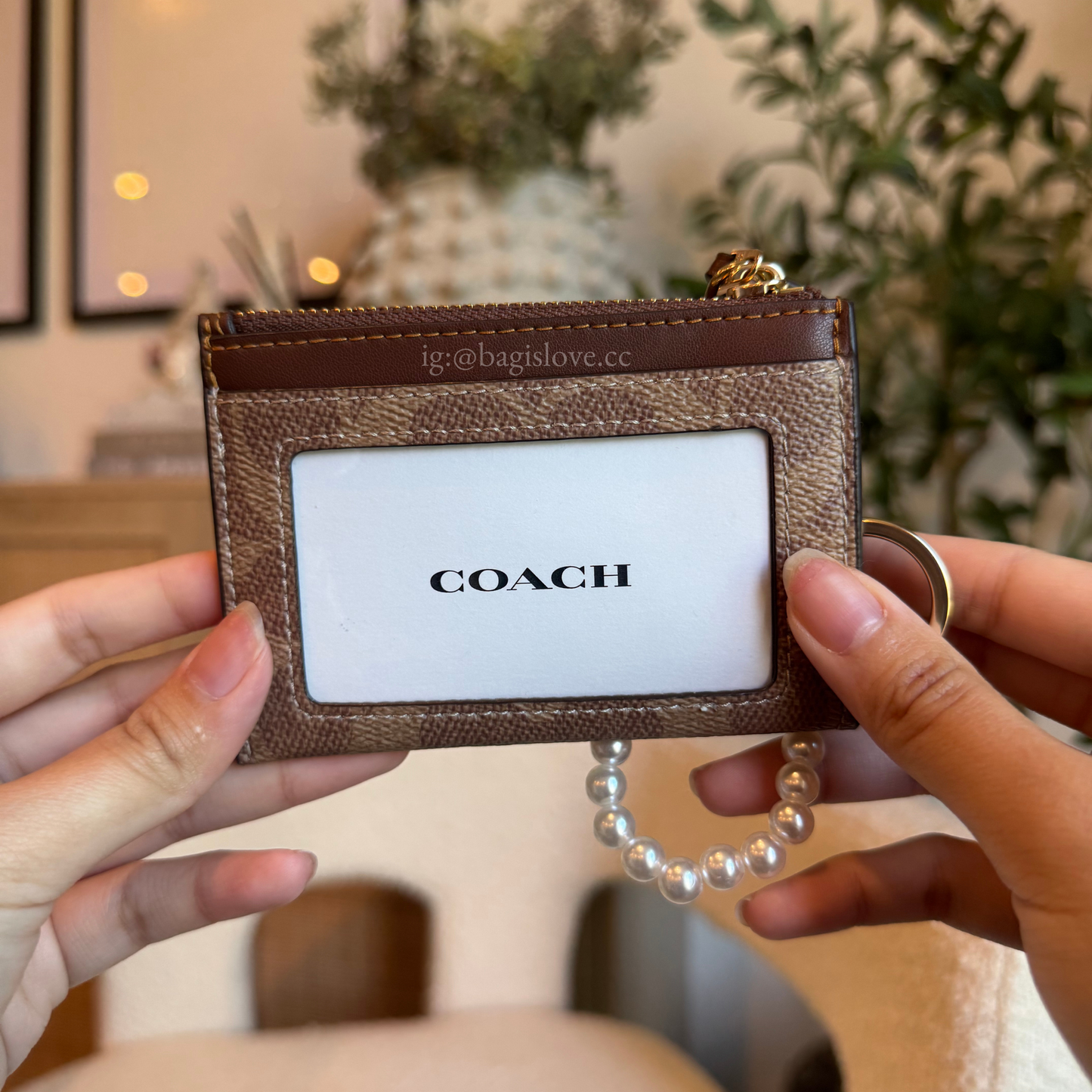 Mini Skinny Id Case In Brown-Khaki Signature Canvas