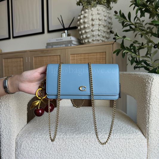 Evie Long Wallet With Chain (8-10 weeks arrival 📦🌊)